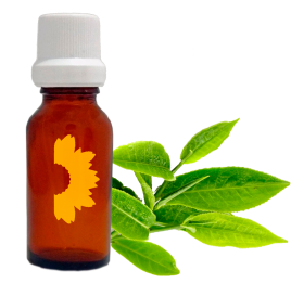 Esencia de árbol de té verde