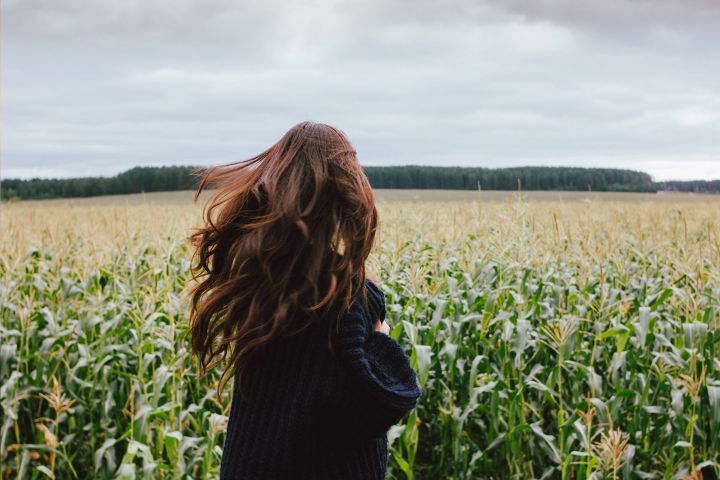 shampoo sólido Cabello seco